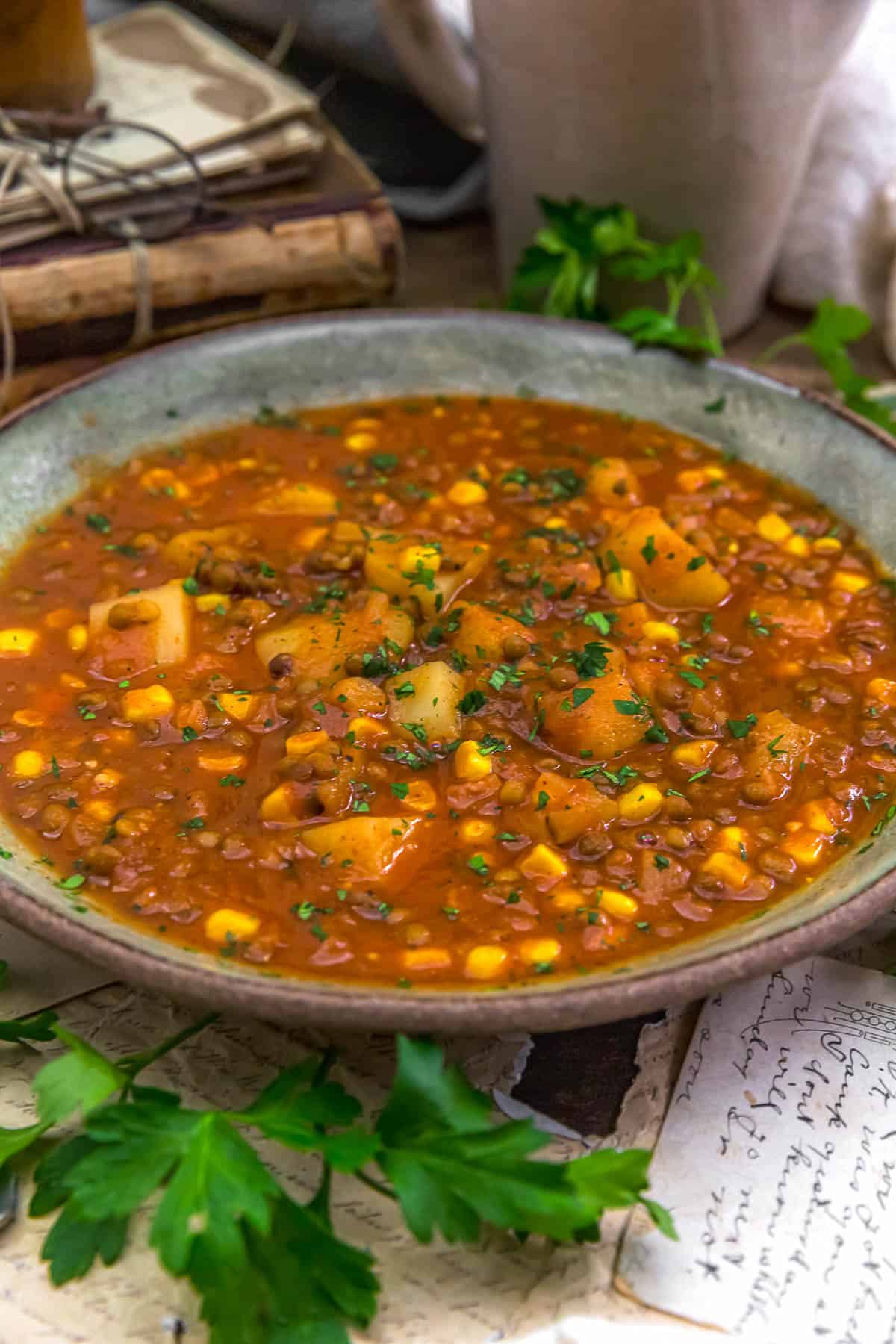 Close up of Low-Fat Spicy Tomato Potato Lentil Soup