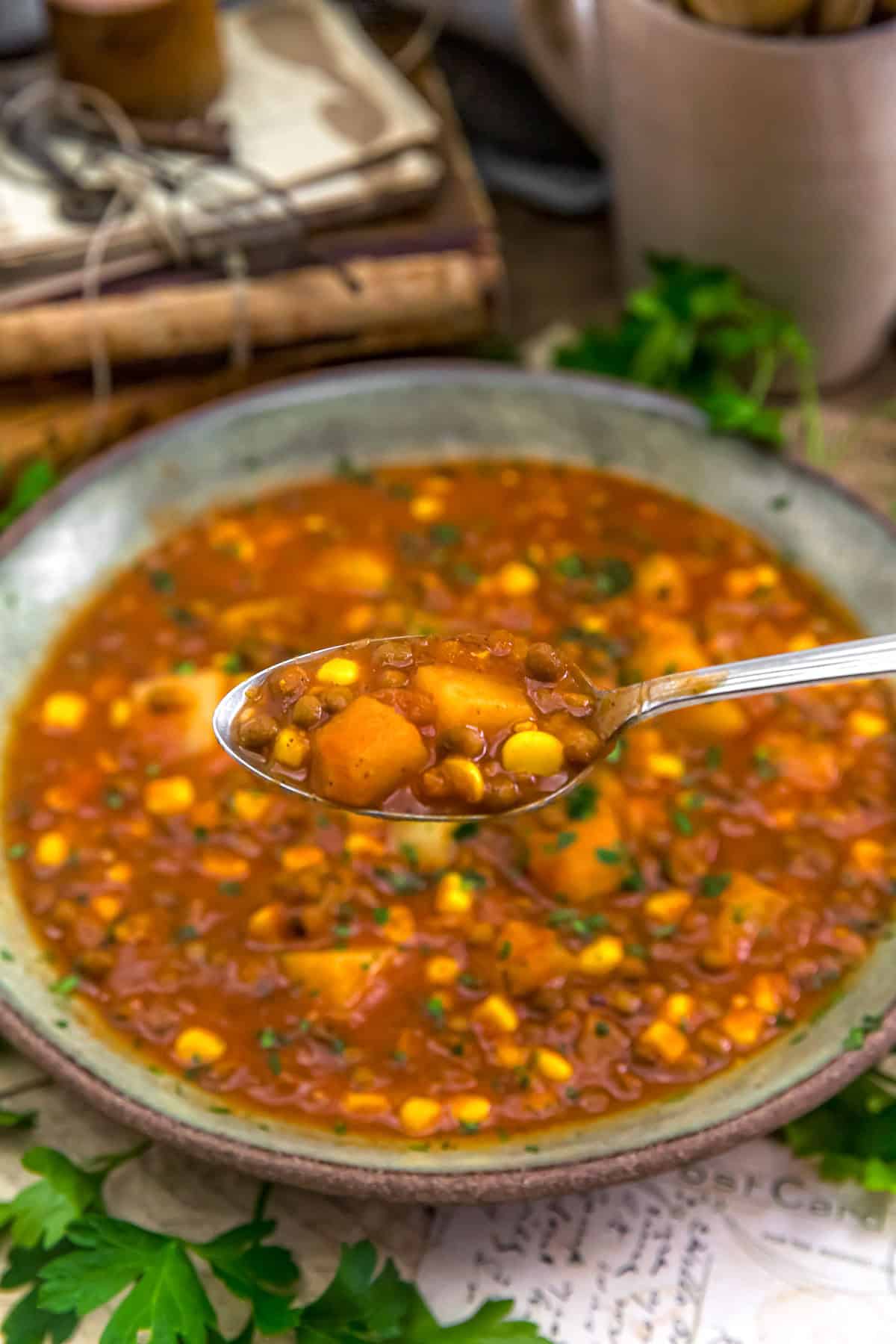 Spoonful of Low-Fat Spicy Tomato Potato Lentil Soup