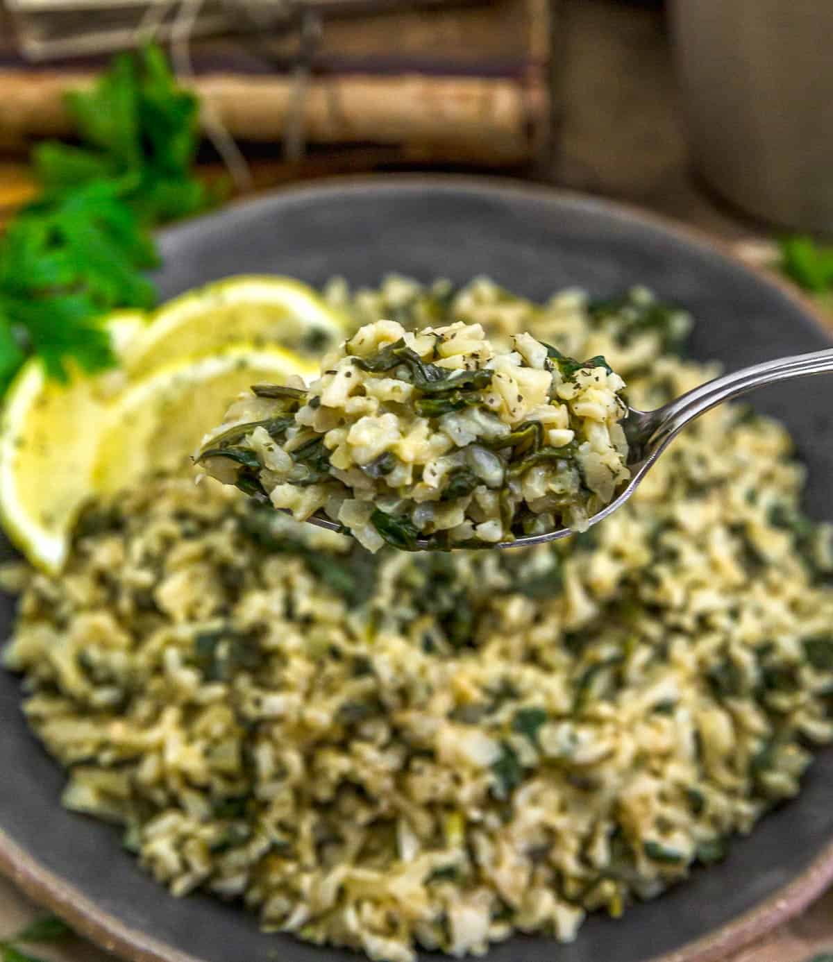 Spoonful of Oil-Free Greek Rice