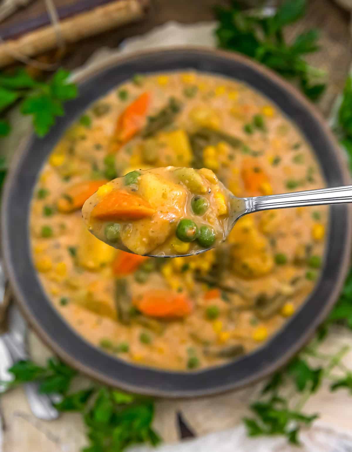 Spoonful of Vegan Creamy Veggie Stew