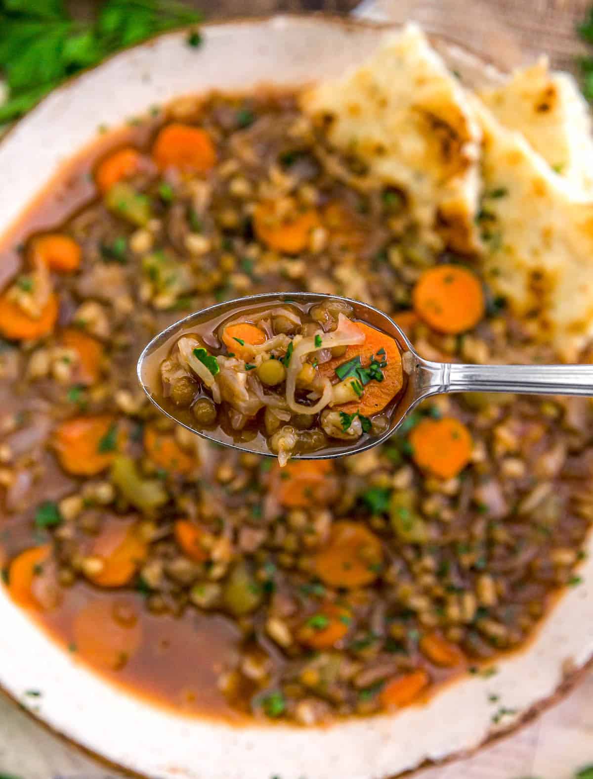 Spoonful of Lentil Barley Cabbage Soup