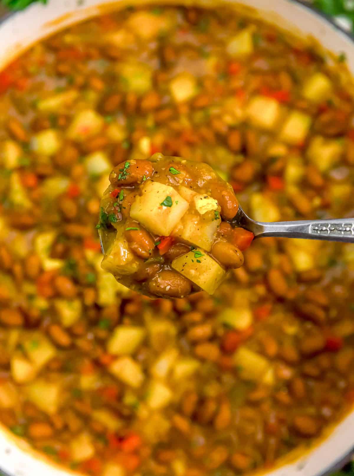Spoonful of Enchilada Beans and Potatoes