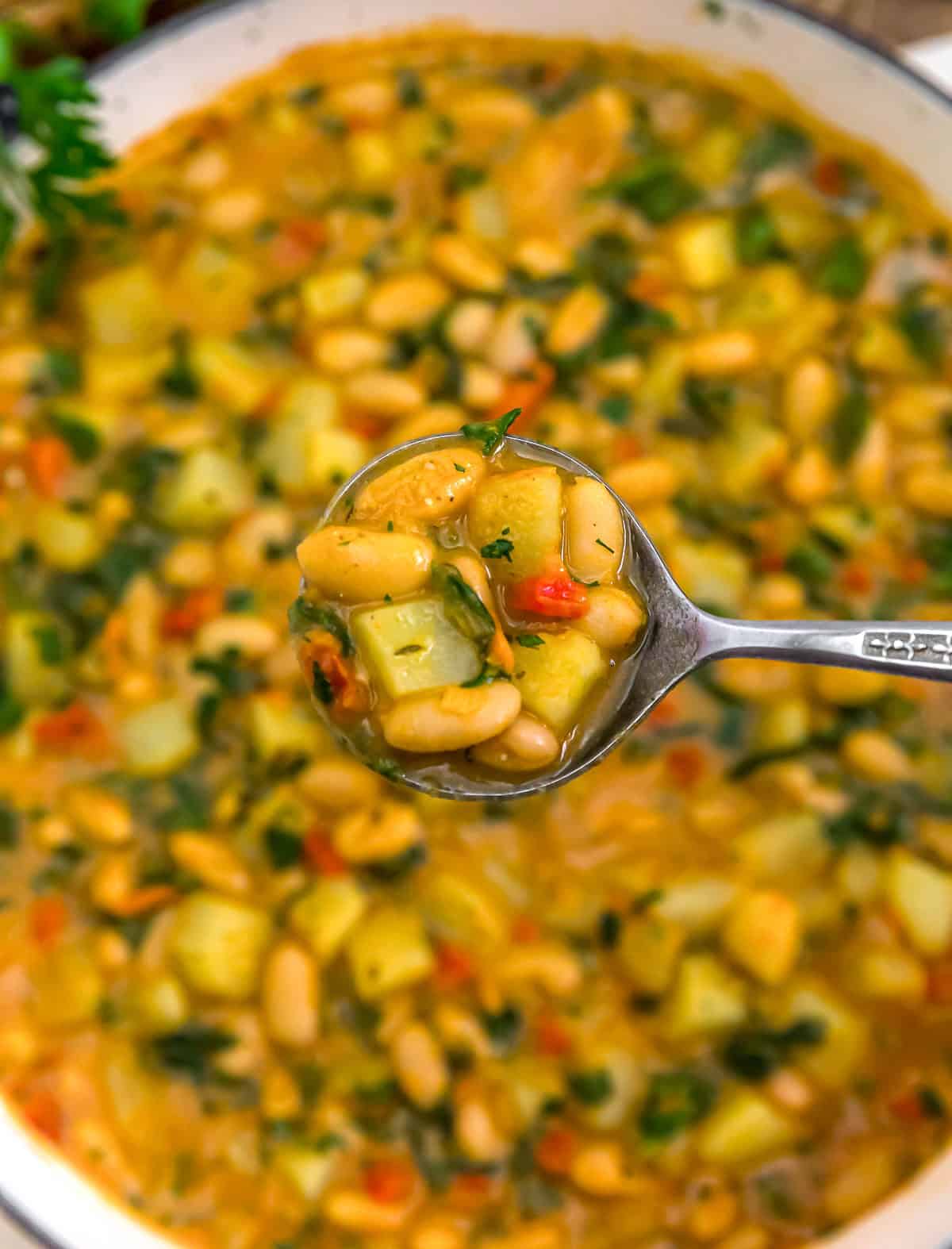Spoonful of Autumn Harvest Bean Skillet