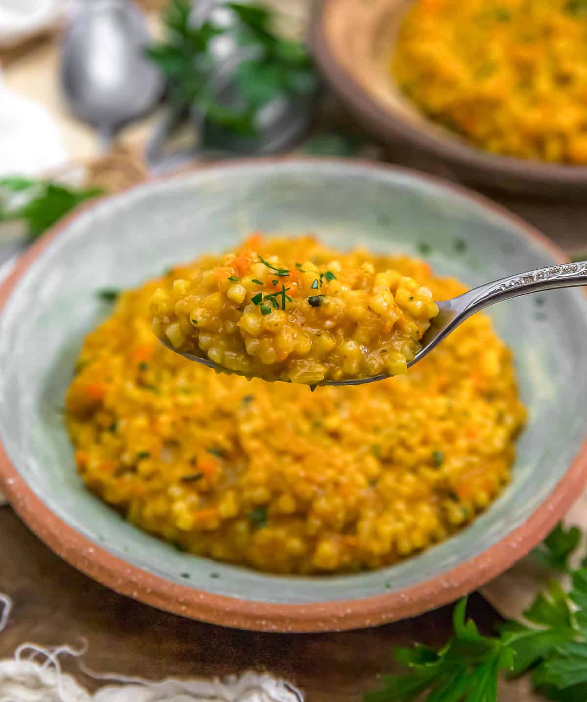 Spoonful of Vegan Pumpkin Pastina