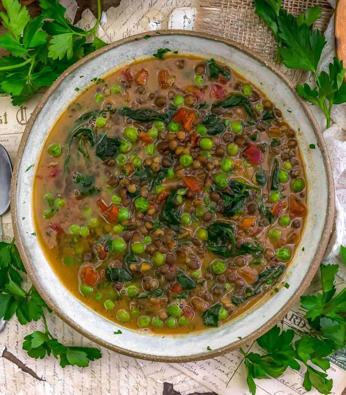 Bowl of Easy No-Chop Lentil Veggie Soup