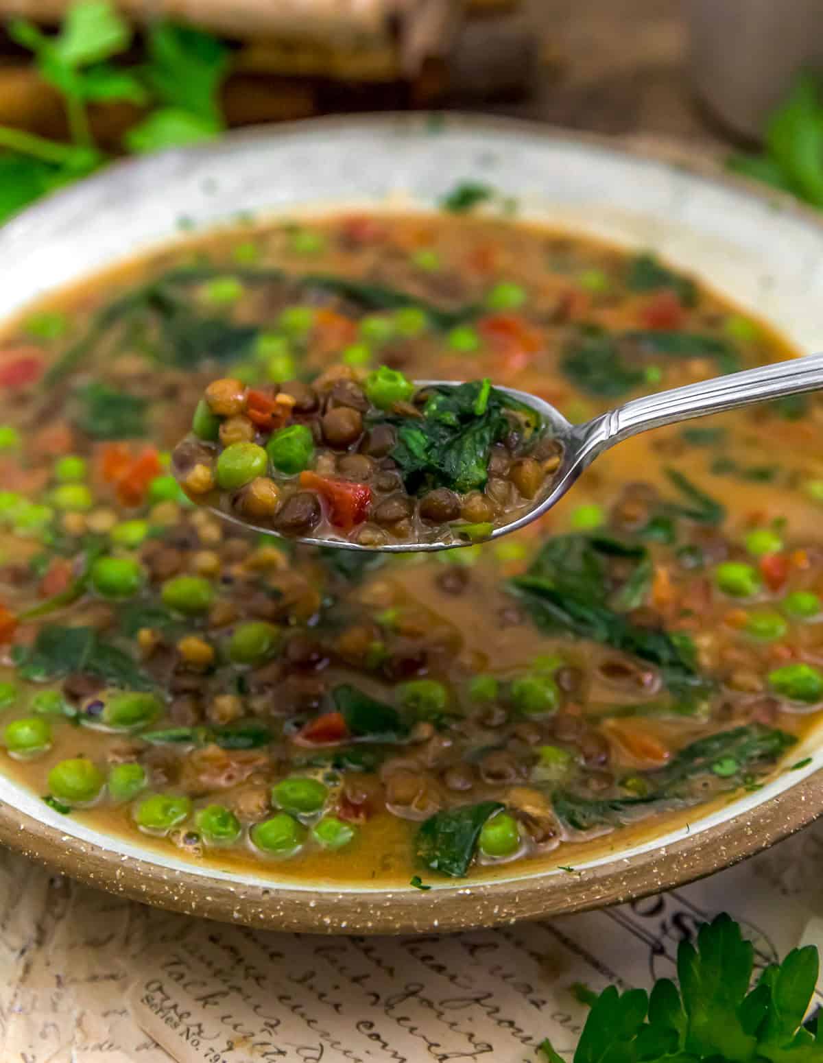 Spoonful of Easy No-Chop Lentil Veggie Soup