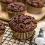 Close up of a Healthy Chocolate Wheat Bran Muffin