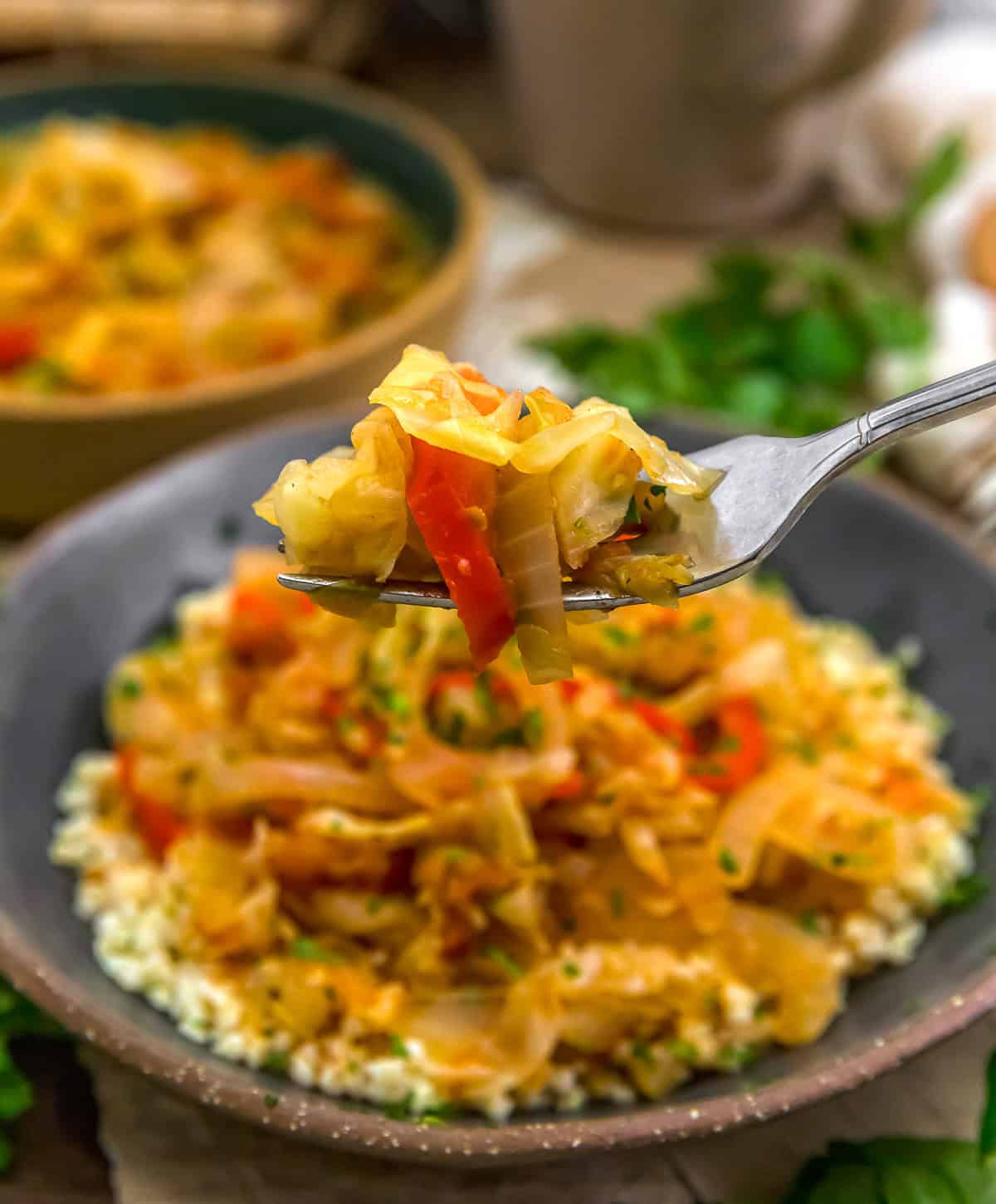 Forkful of Simple Sauteed Cabbage and Onions