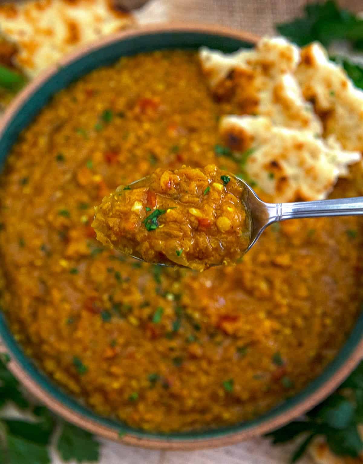 Spoonful of Easy Red Lentil Dahl