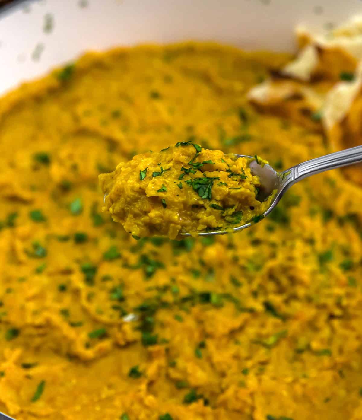 Spoonful of Fusion Shiro Wat