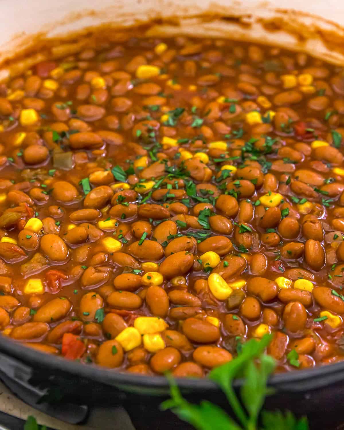 Close up of Fast and Easy Salsa Bean Skillet