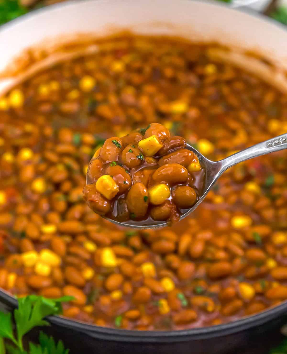 Spoonful of Fast and Easy Salsa Bean Skillet