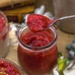 Spoonful of Strawberry Rhubarb Sauce