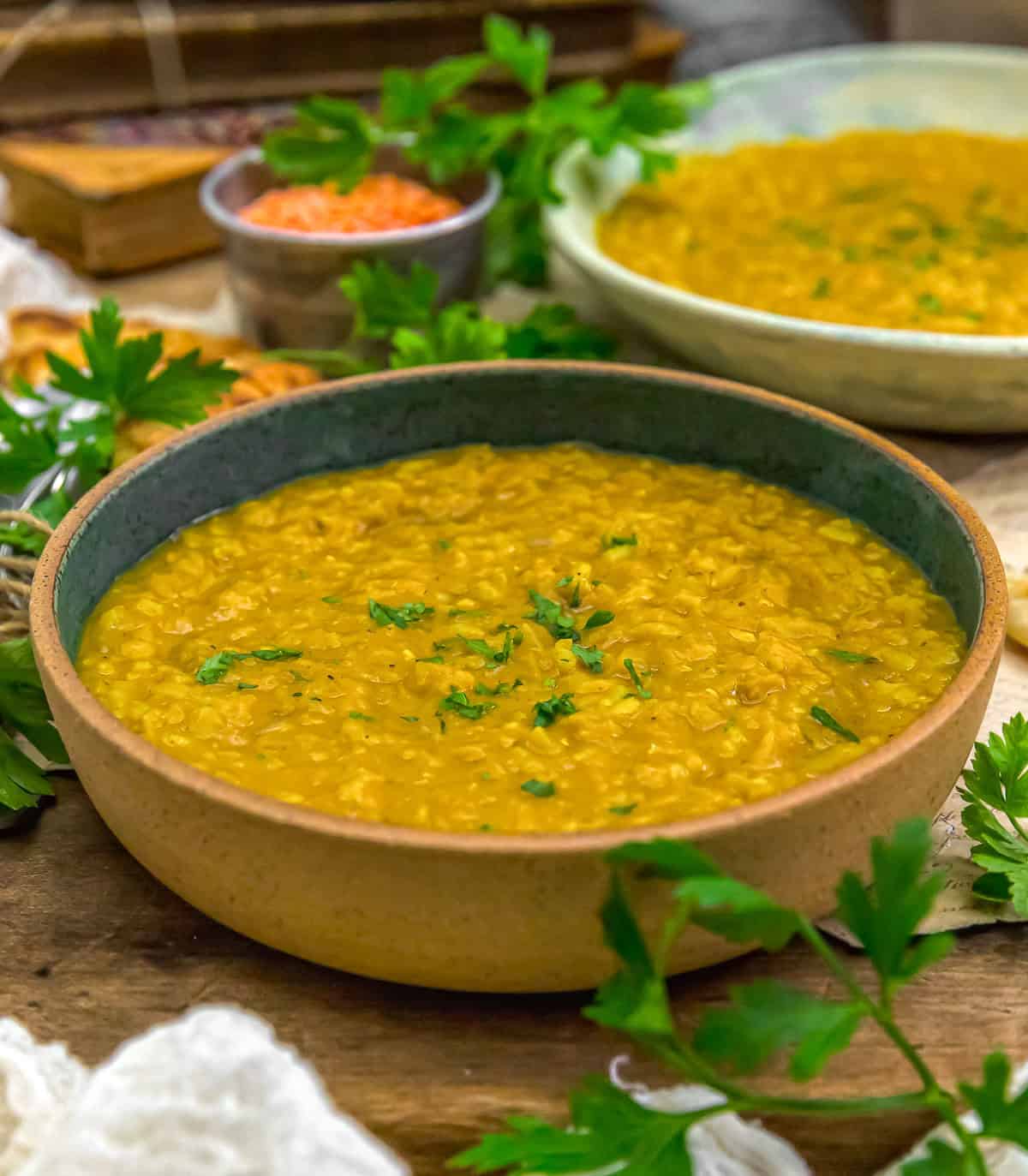 Close up of Fusion Red Lentils and Rice Stew